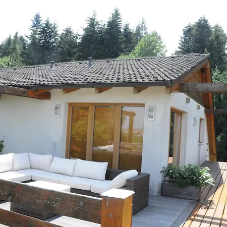 V Lesoparku Apartman *