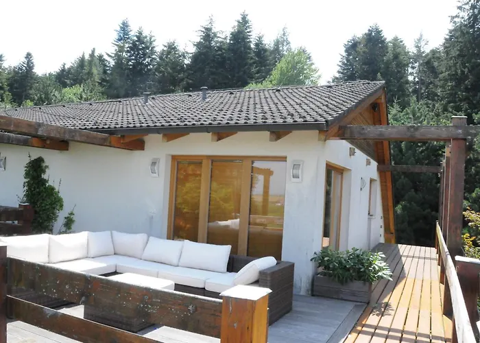 V Lesoparku 아파트 *